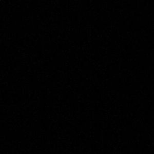 Meet your Posher, Toni